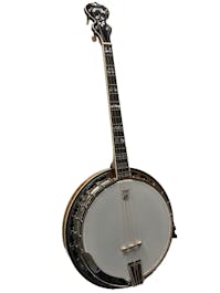 Deering Calico 19 Fret Tenor Banjo with Case 2023 Model  - Commission Sale