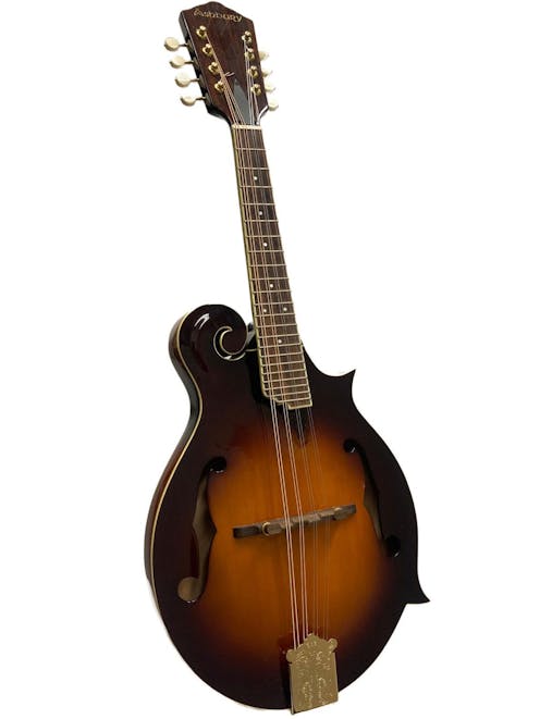 Ashbury AM-420 F-Style Mandolin with Semi-Rigid case - Commission Sale