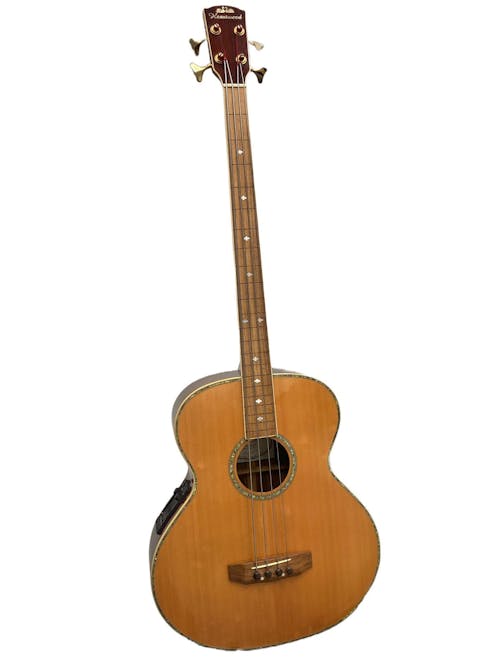 Heartwood SB-4000 Fretless Electro-Acoustic Bass - Commission Sale