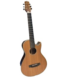 Terry Pack PLRS Parlour Guitar with Deluxe Hard Case - Commission Sale