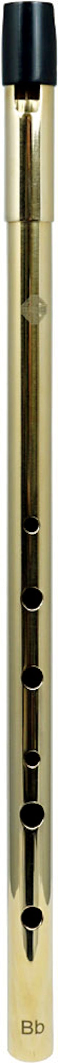 Glenluce Wexford Alto Bb Whistle - Brass Finish