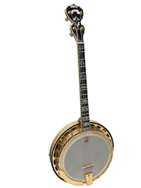 Deering Calico 19 Fret Tenor Banjo with Hard Case  - Commission Sale