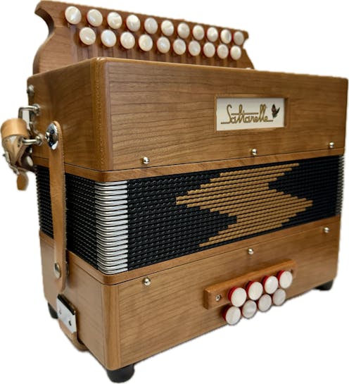 Saltarelle Le Bouebe in D/G with Hard Case - Commission Sale