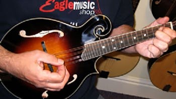 Mandolin Family Advice