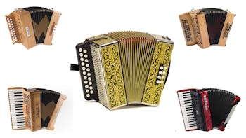 Squeezebox Buying Guides